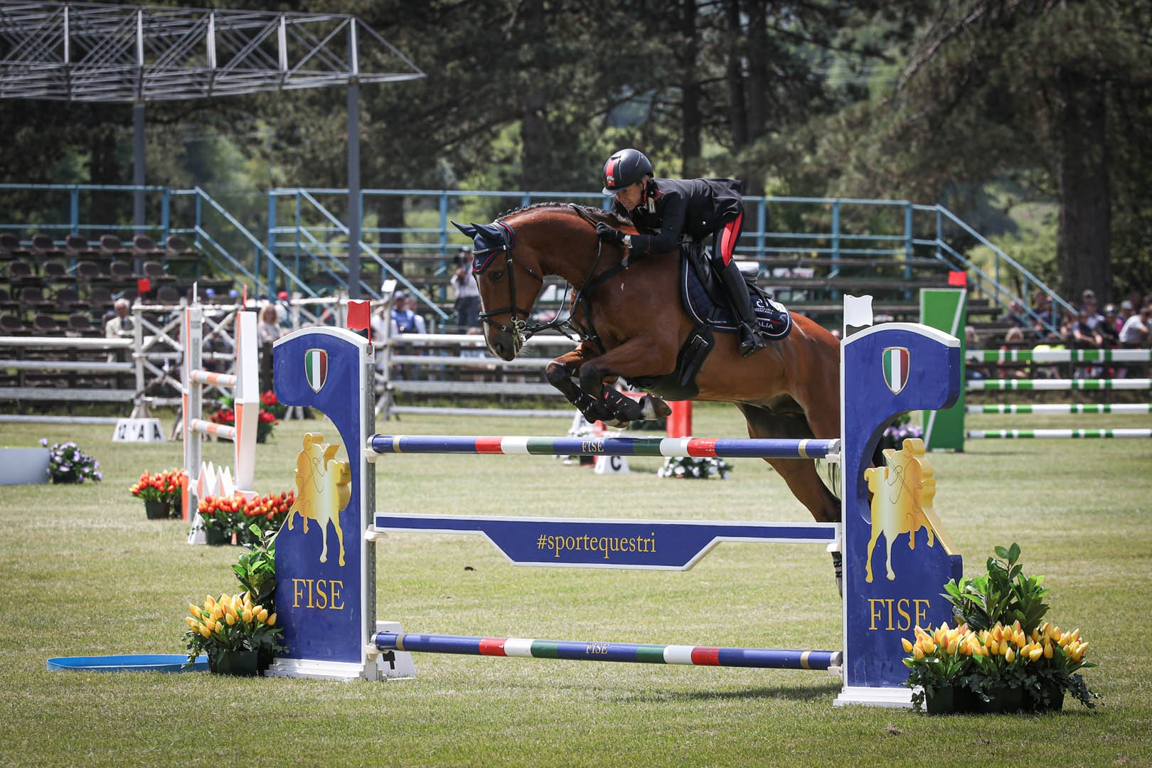 Show Jumping