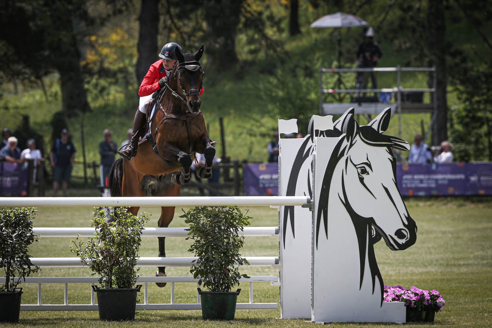 Show Jumping