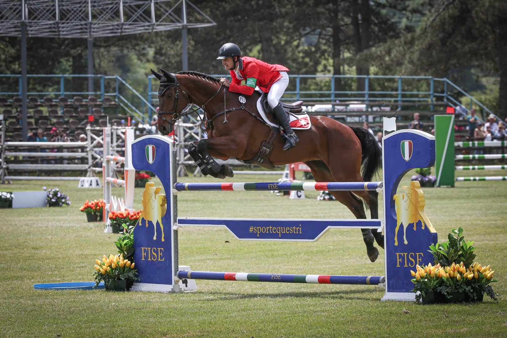 Show Jumping